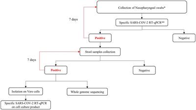 SARS-CoV-2 excretion kinetics in nasopharyngeal and stool samples from the pediatric population